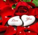 download-(16)0